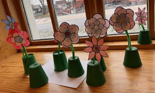 Blomst i vindu